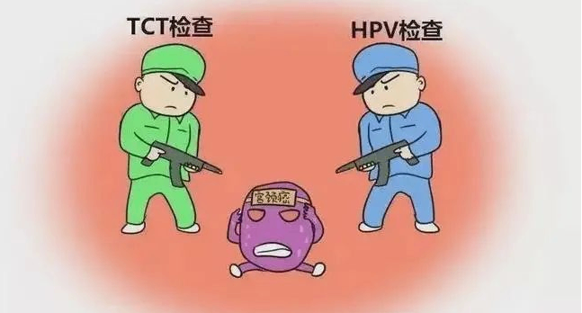 hpv检查.png