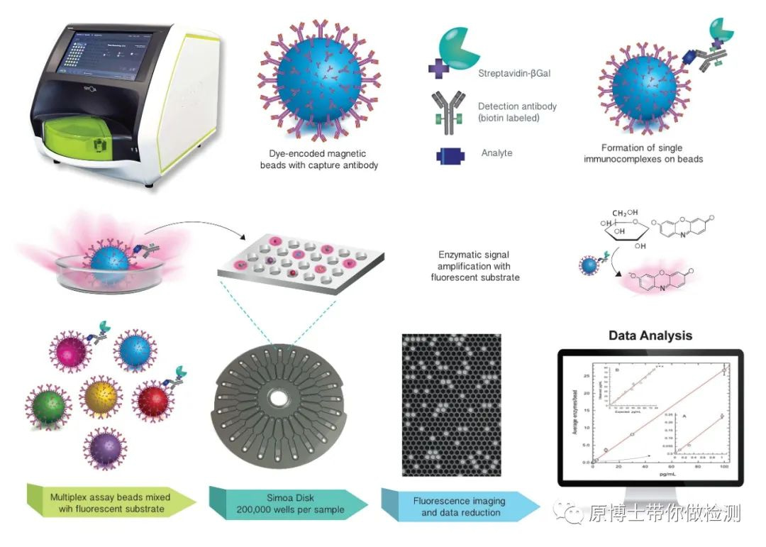 Simoa检测流程.jpg