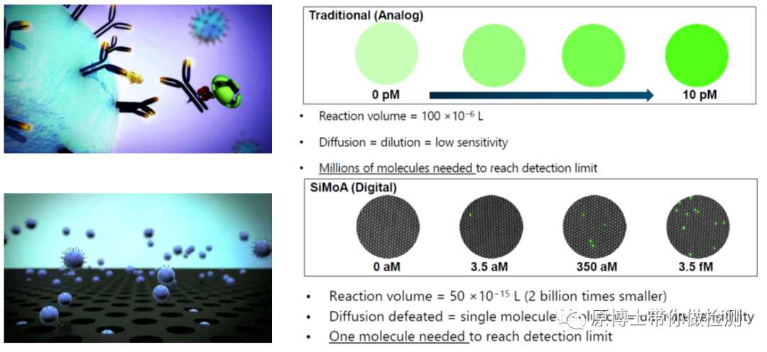 Simoa与ELISA对比.png