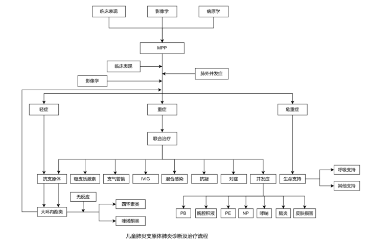 MPP诊疗流程图.png