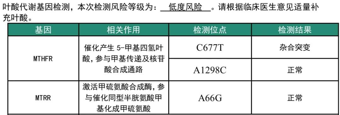 叶酸代谢基因检测报告结果——低风险