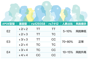 阿尔茨海默病 (AD) 风险基因检测.png