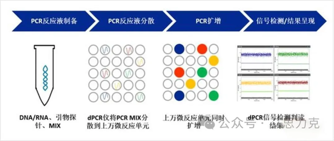 数字PCR的基本原理.webp