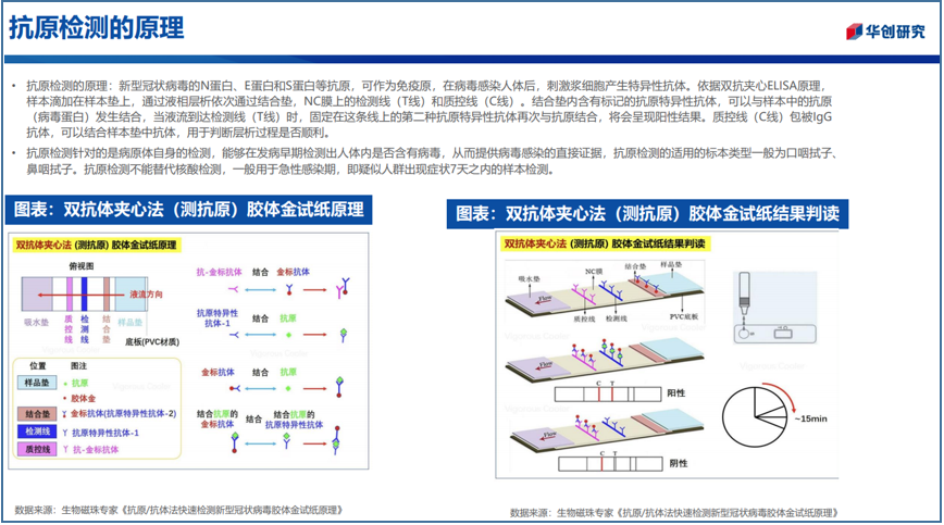 抗原检测原理.png